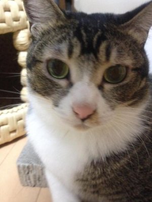 今日のベストショット